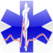 Medical French Guide and Quiz
